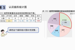扇形统计图ppt,数据分布的直观展现