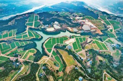 新时代新征程加快建设农业强国的战略部署乡村振兴