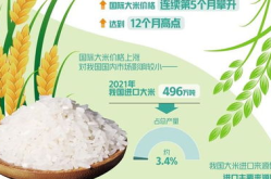 国际大米价格,影响与应对策略