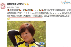 娱乐圈的吃瓜博主是谁啊,揭秘幕后真相的神秘人物