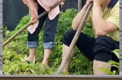 娱乐八卦吃瓜群众,揭秘明星幕后故事，吃瓜群众狂欢时刻