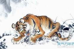 属虎的几月出生好,揭秘不同月份命运与性格的奥秘