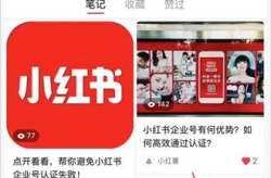 吃瓜娱乐企业号怎么注册,满足条件，轻松开启企业之旅