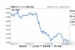 110029基金,科技行业投资混合型基金深度解析