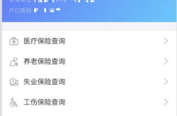 查社保个人账户,查询、使用与权益保障指南”