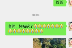 娱乐吃瓜君论文,揭秘娱乐圈幕后真相与八卦风云