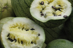 娱乐718吃瓜上不去了,揭秘吃瓜群众为何上不去的神秘面纱