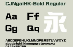 bold字体,格式、作用与写作技巧