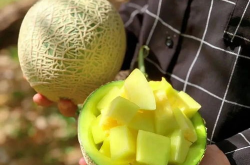 最近娱乐圈可以吃的瓜,明星们的甜蜜与苦涩