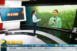 中央二套在线直播,实时呈现精彩内容，引领电视媒体新潮流